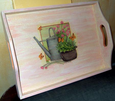 Plateau aux papillons